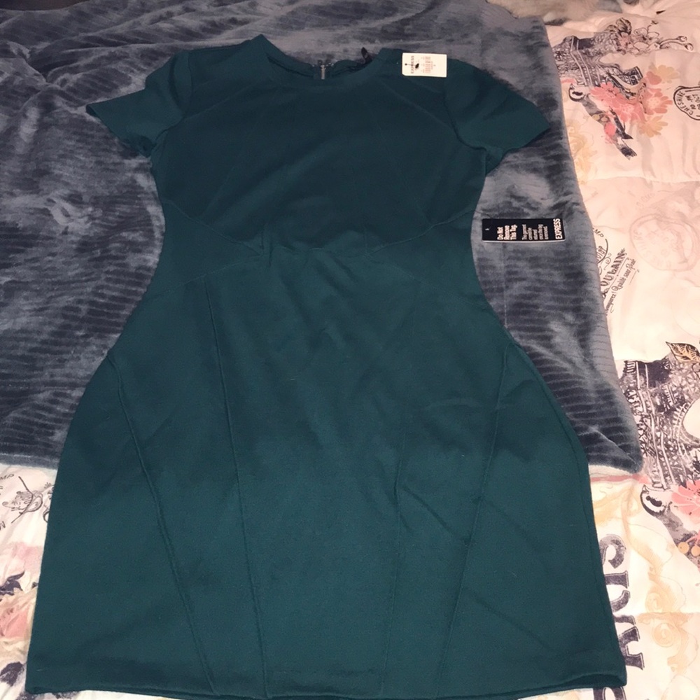 NWT Express dress